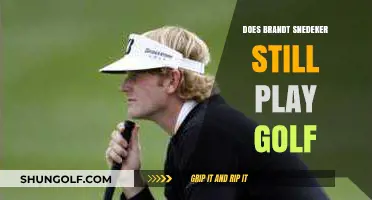 Is Brandt Snedeker Still Active on the Golf Course?