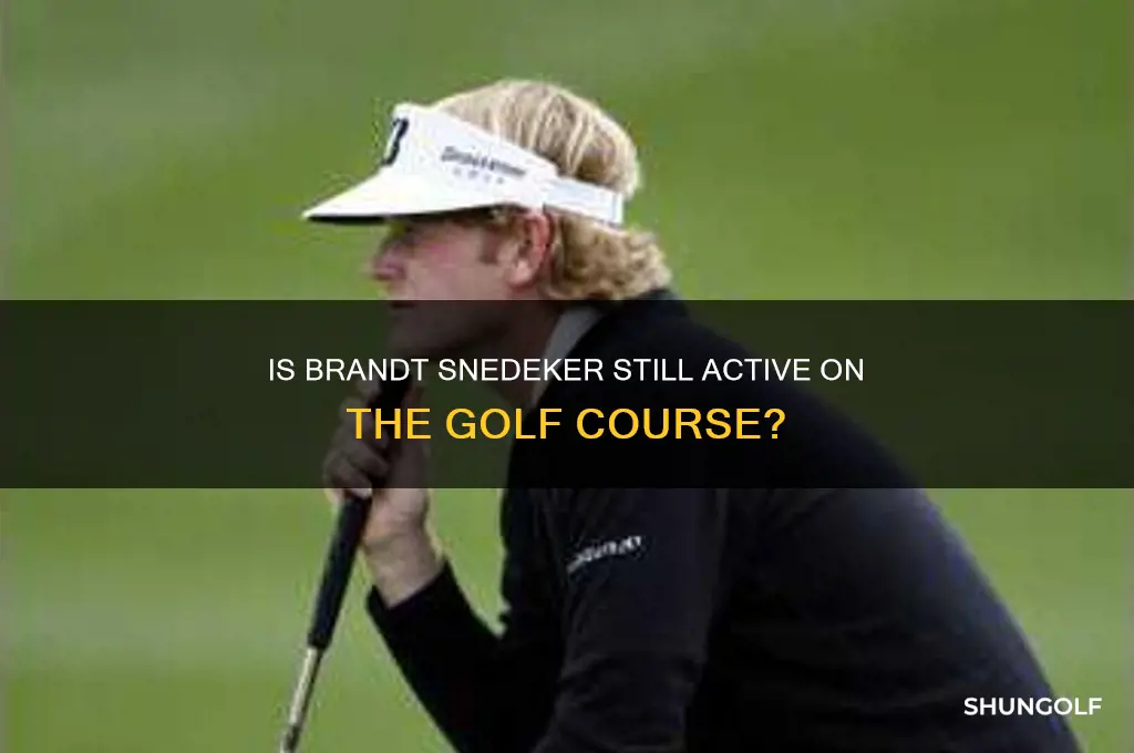 does brandt snedeker still play golf