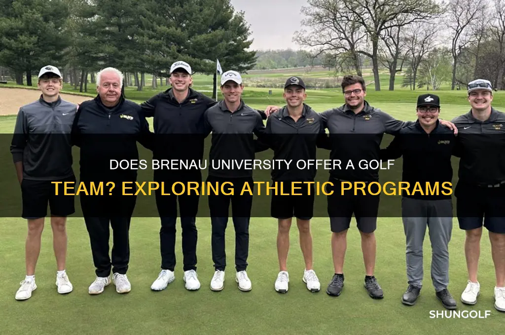 does brenau university have a golf team