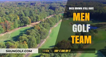Does Brown University Still Field a Men's Golf Team?