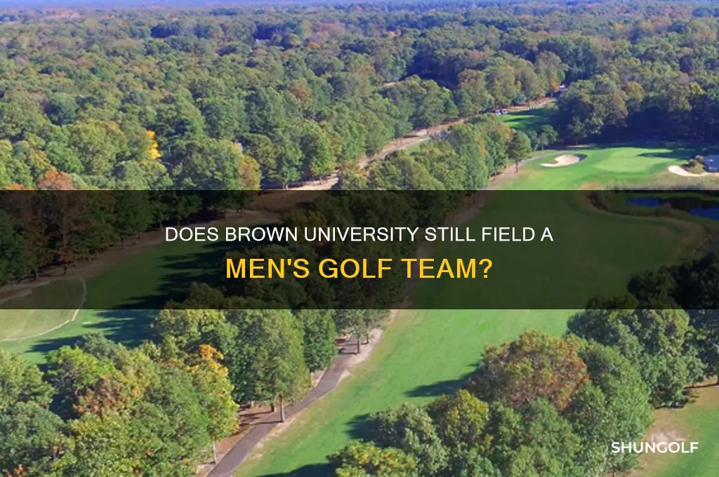 does brown still have men golf team