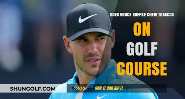 Bruce Koepka's On-Course Habits: Tobacco Chewing Rumors Explored