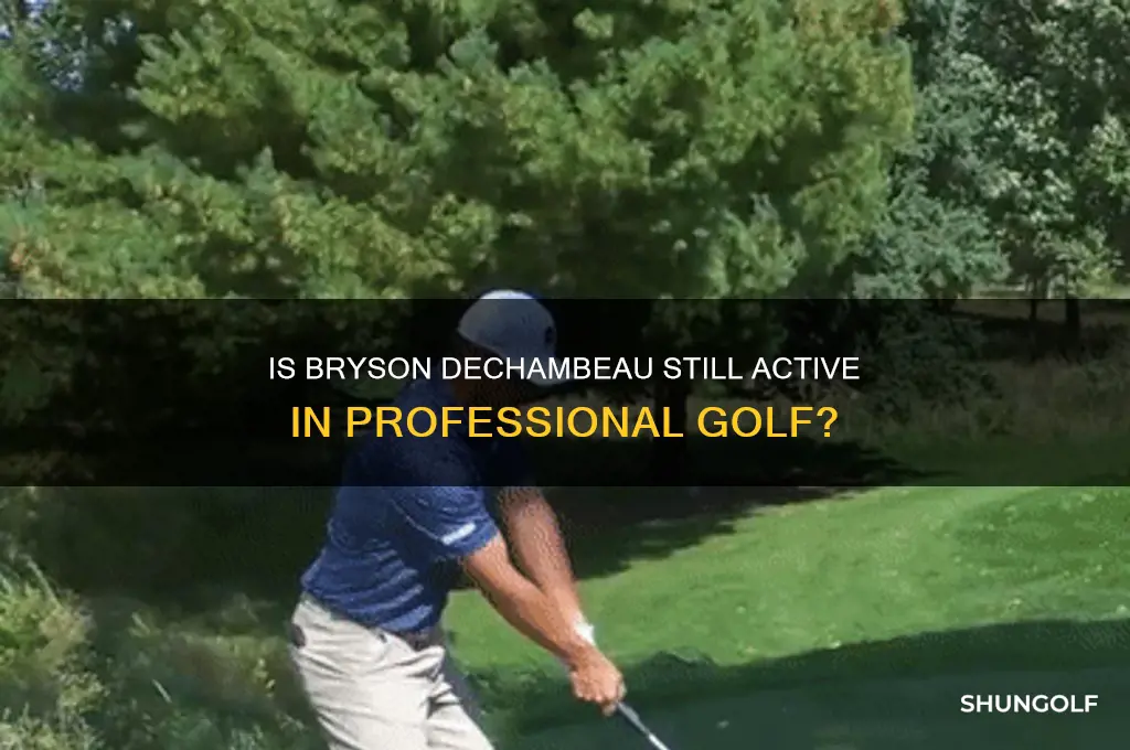does bryson dechambeau still play golf
