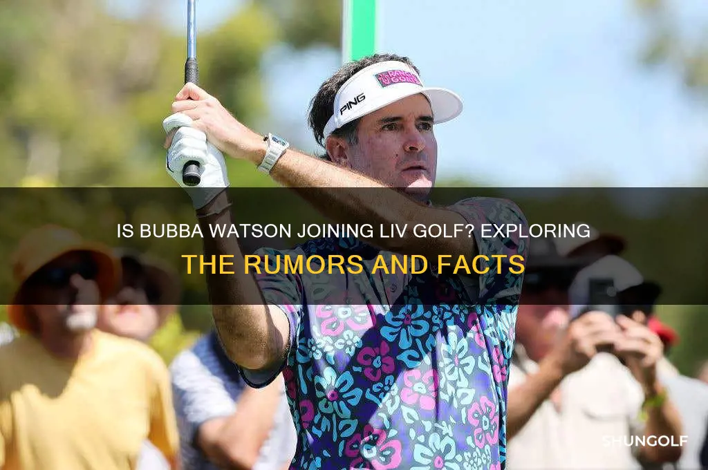does bubba watson play for liv golf