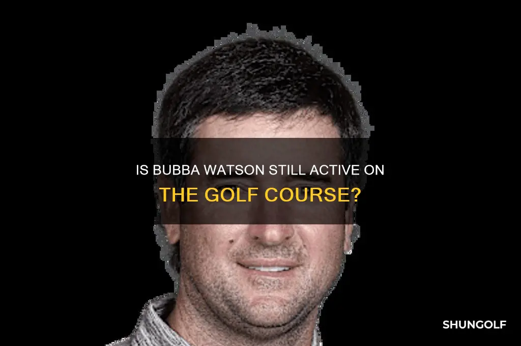 does bubba watson play golf anymore