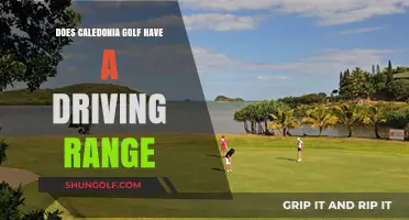 Does Caledonia Golf Offer a Driving Range? Find Out Here
