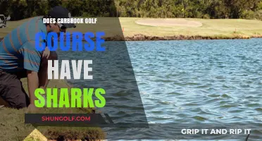 Carbrook Golf Course: Shark-Infested Waters or Urban Legend?
