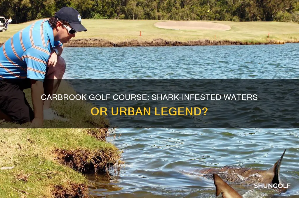 does carbrook golf course have sharks