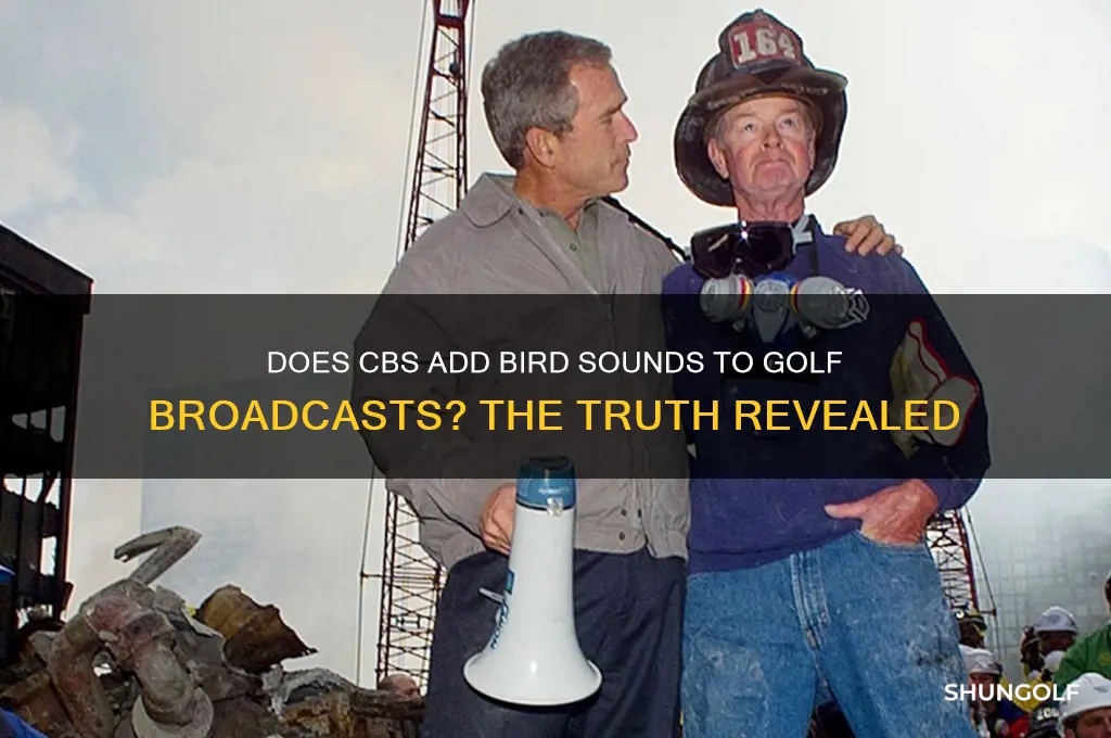 does cbs add bird sounds to golf