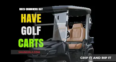 Exploring Chambers Bay: Golf Cart Availability and Course Navigation Tips