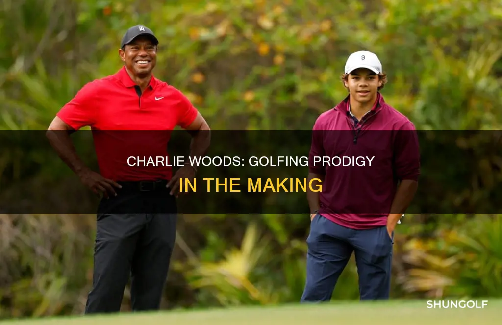 does charlie woods golf
