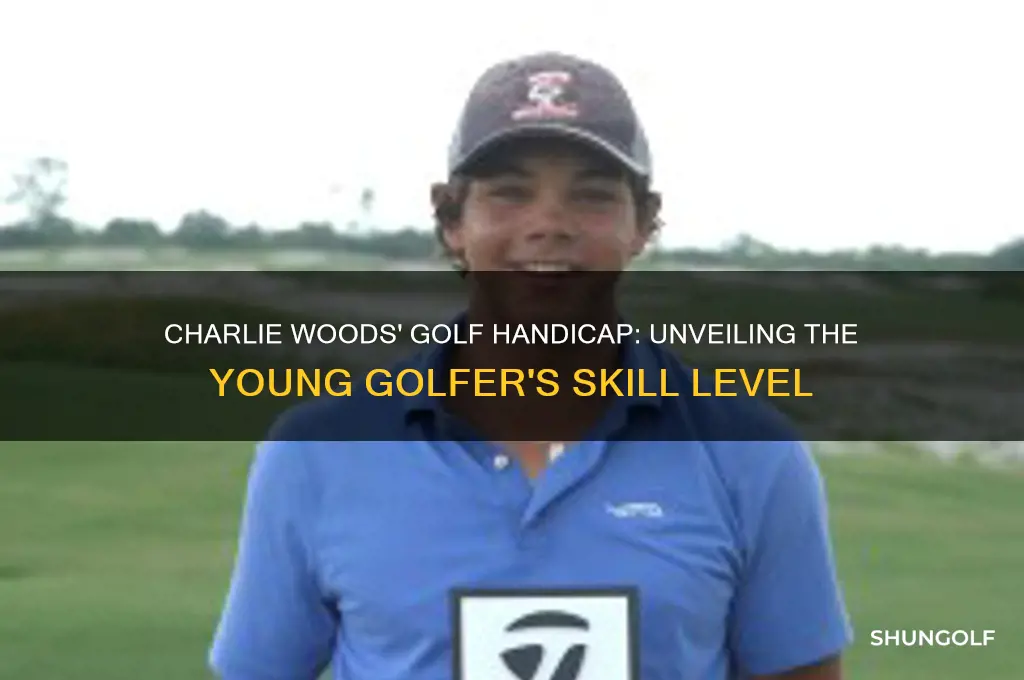 does charlie woods have a golf handicap