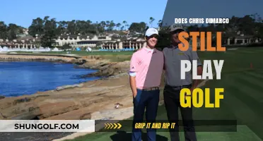 Chris DiMarco's Golf Career: Still Swinging or Retired?
