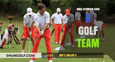 Clemson's Golf Team: Does It Exist?