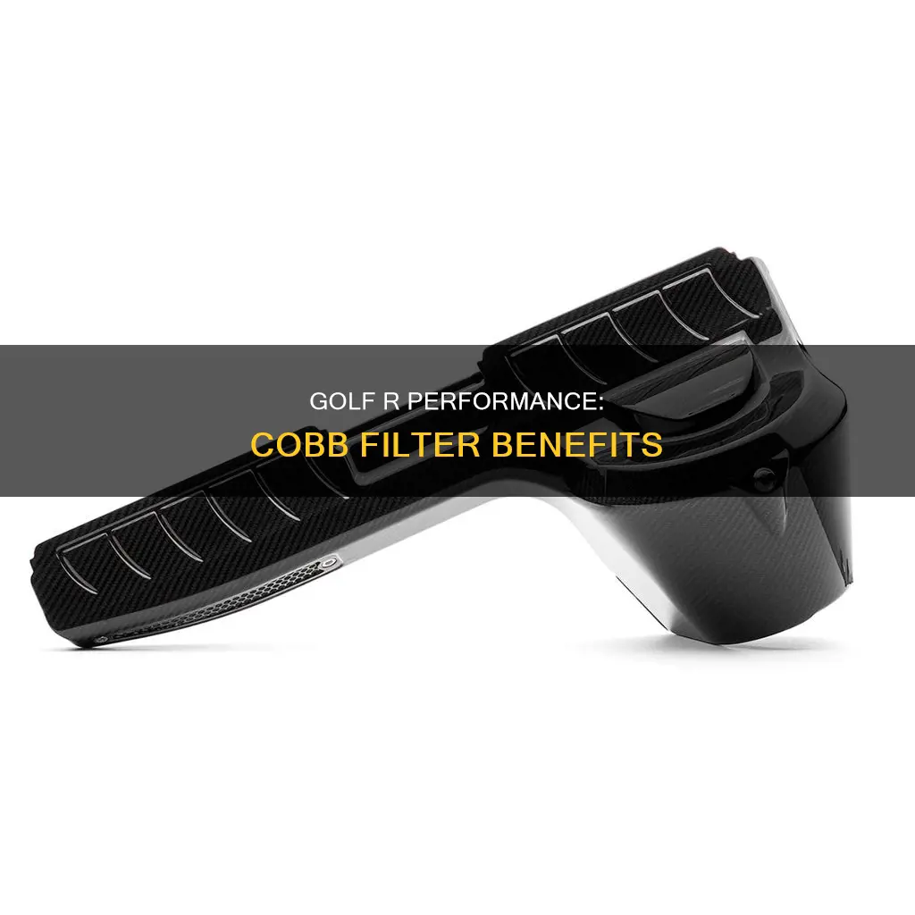 does cobb filter golf r