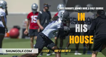 Does Davante Adams Own a Private Golf Course at Home?