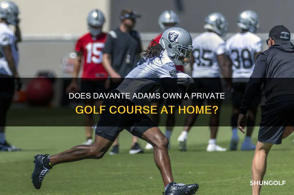 does davante adams have a golf course in his house