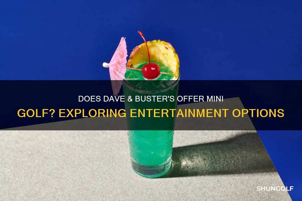 does dave and busters have mini golf