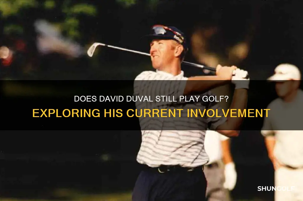 does david duval still play golf