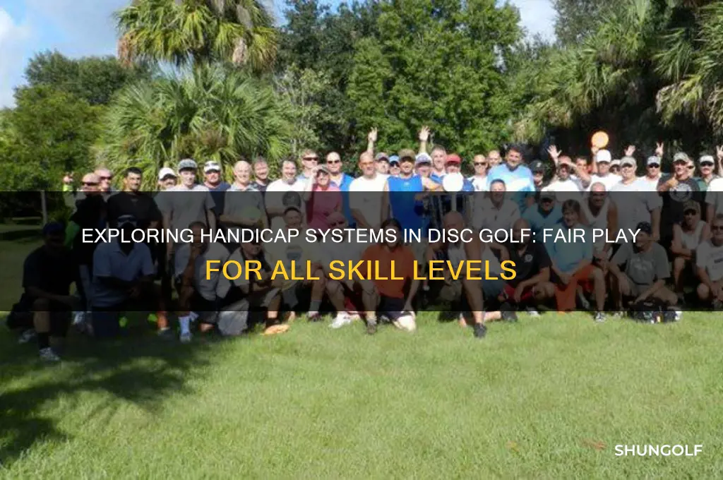 does disc golf have handicap
