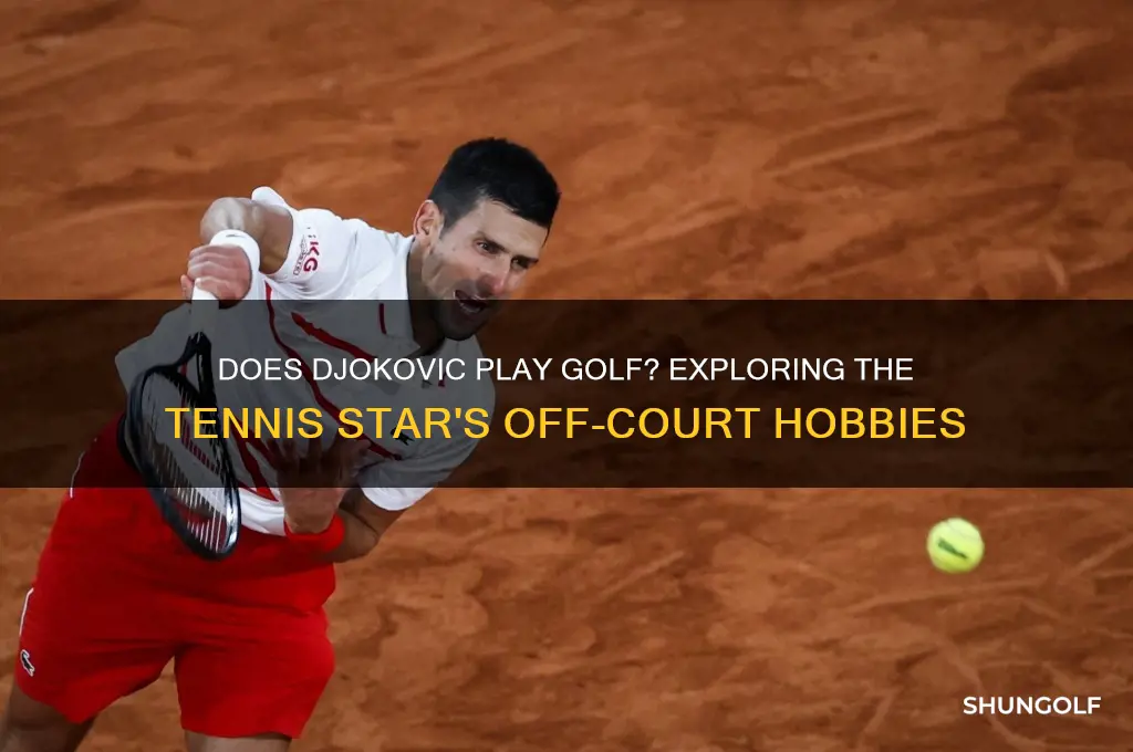 does djokovic play golf