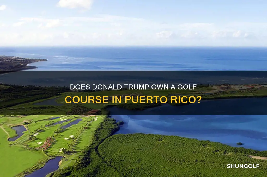does donald trump have a golf course in puerto rico