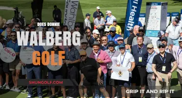 Donnie Wahlberg's Golf Game: A Hole-in-One?