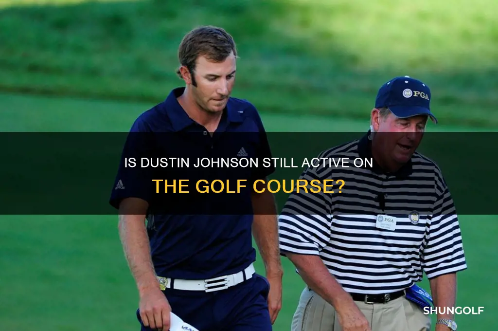 does dustin johnson still play golf