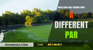 Exploring Golf Course Par Variations: Unique Standards Across Different Greens