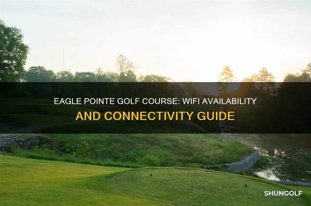 does eagle pointe golf course have wifi