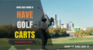 Exploring East River 9: Golf Cart Availability and Amenities