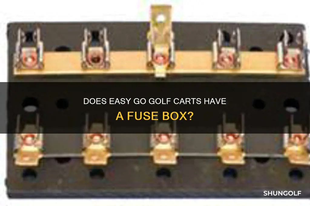 does easy go golf carts have a fuse box