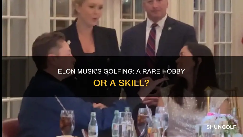 does elon musk golf
