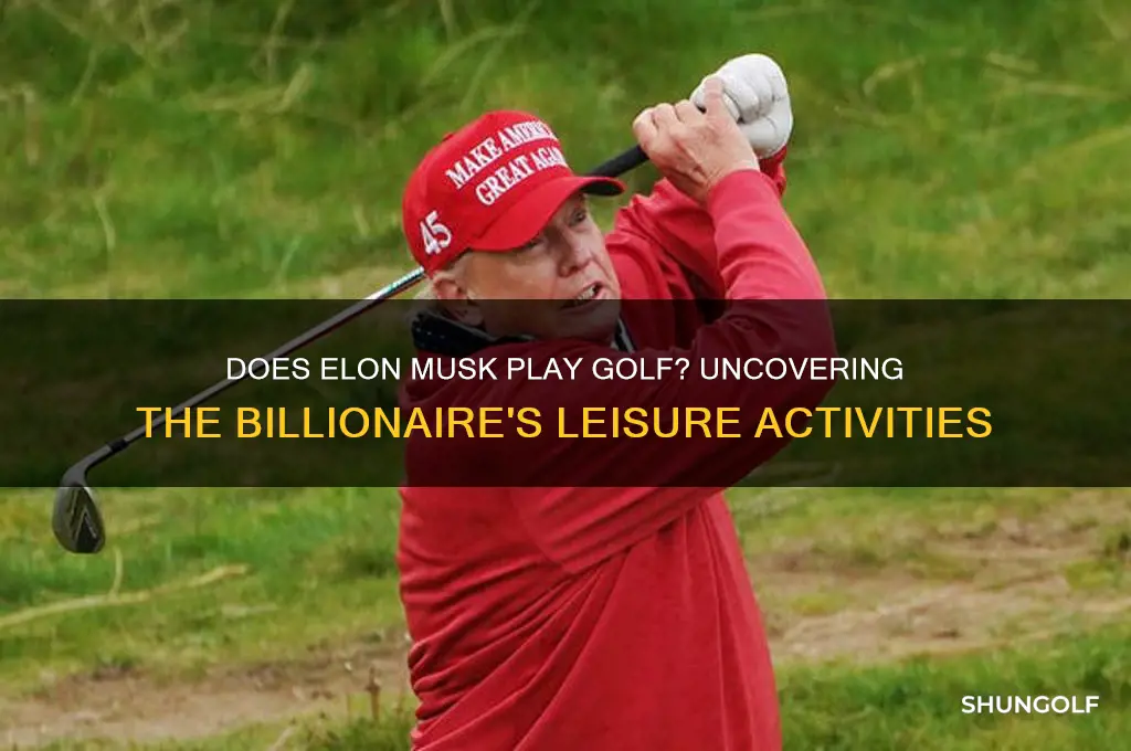 does elon musk play golf