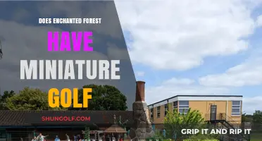 Enchanted Forest's Mini Golf: A Magical Adventure