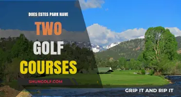 Exploring Estes Park's Golf Scene: Two Courses or Just One?