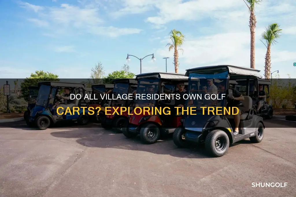 does everone in the villages have a golf cart