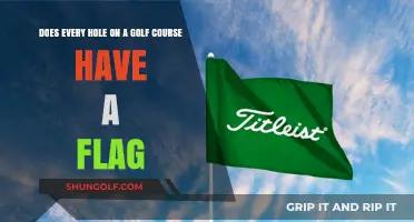 Do All Golf Holes Feature Flags? Uncovering Course Design Secrets