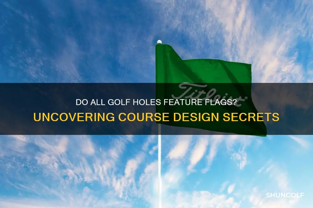 does every hole on a golf course have a flag