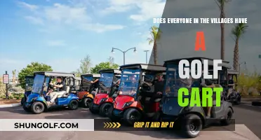 Golf Carts in Villages: A Common Sight or Rare Luxury?