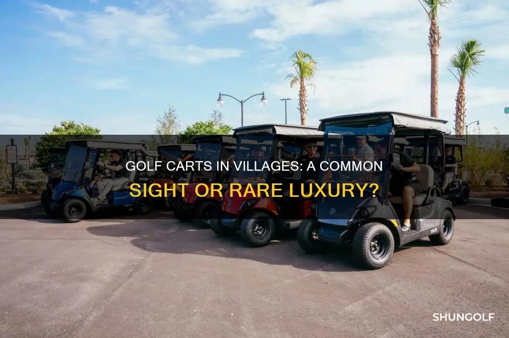 does everyone in the villages have a golf cart