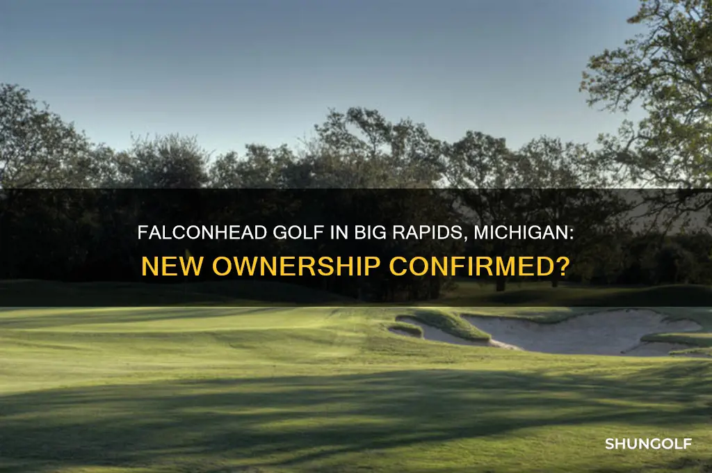 does falconhead golf in big rapids michigan have new ownership