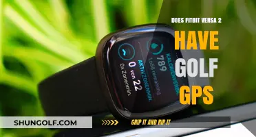 Fitbit Versa 2 Golf GPS: Does It Track Your Game?