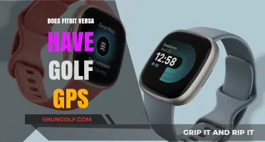 Fitbit Versa: Golf GPS Companion?