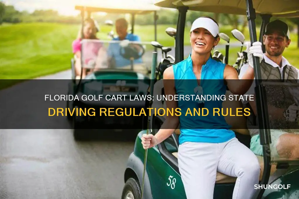 does florida have a state regulations for driving golf carts