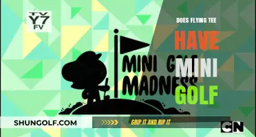 Tee-rific Fun: Mini Golf at Flying Tee