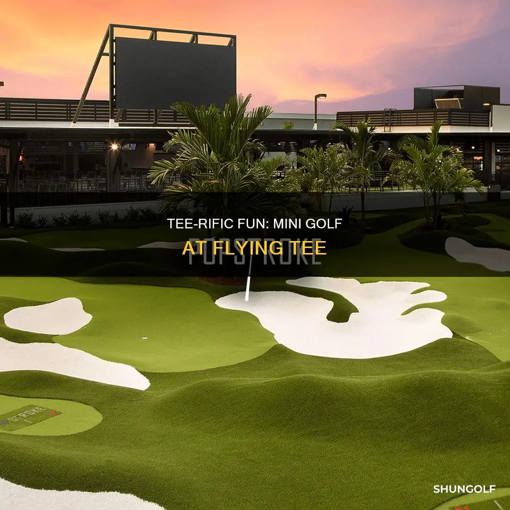 does flying tee have mini golf