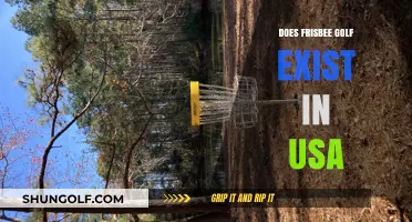 Frisbee Golf: A Fun American Pastime