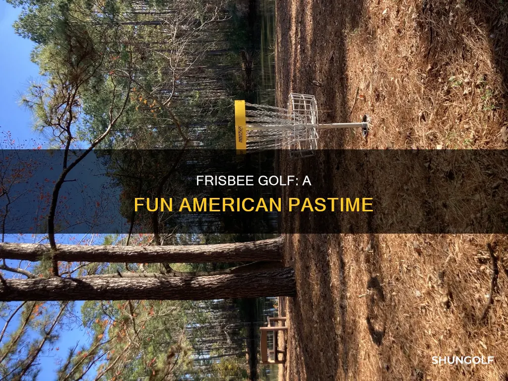does frisbee golf exist in usa