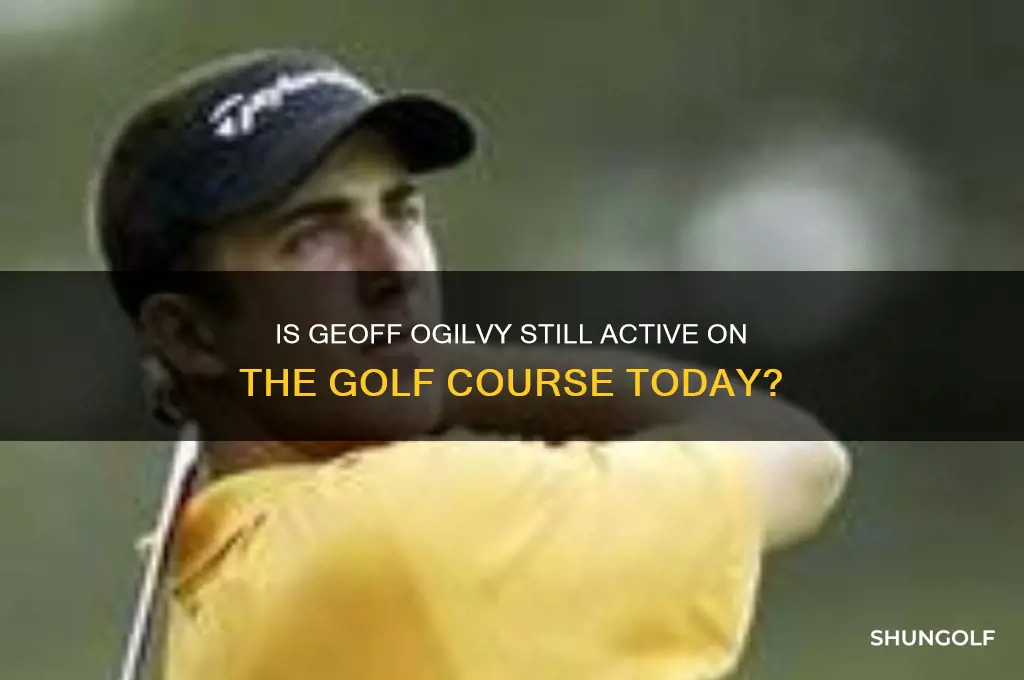 does geoff ogilvy still play golf